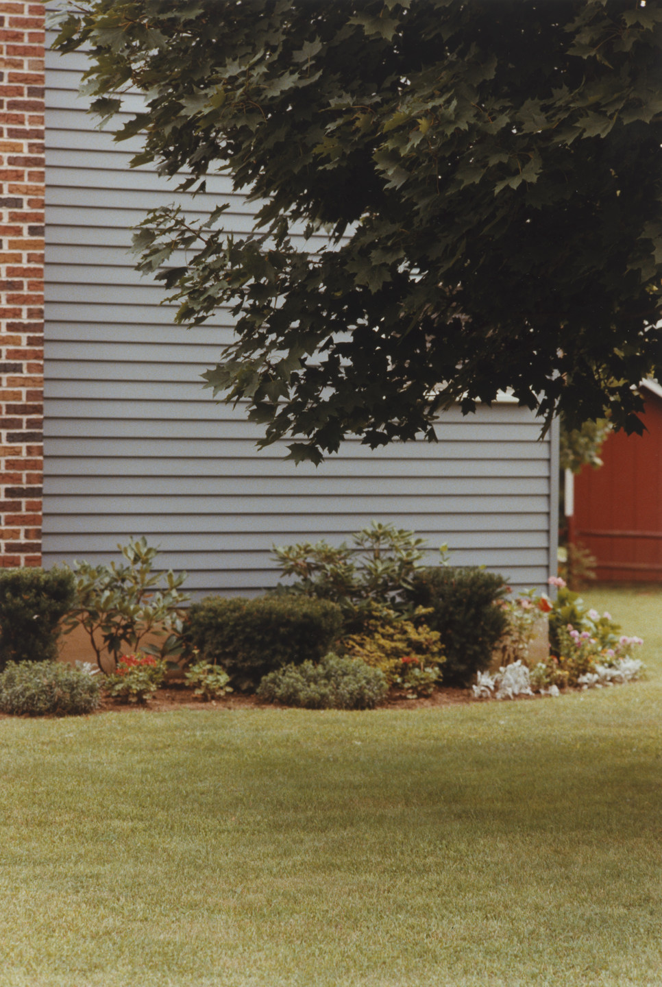 Jan Groover. Untitled. 1977