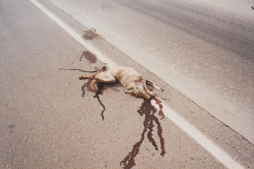 Interstate Highway Five