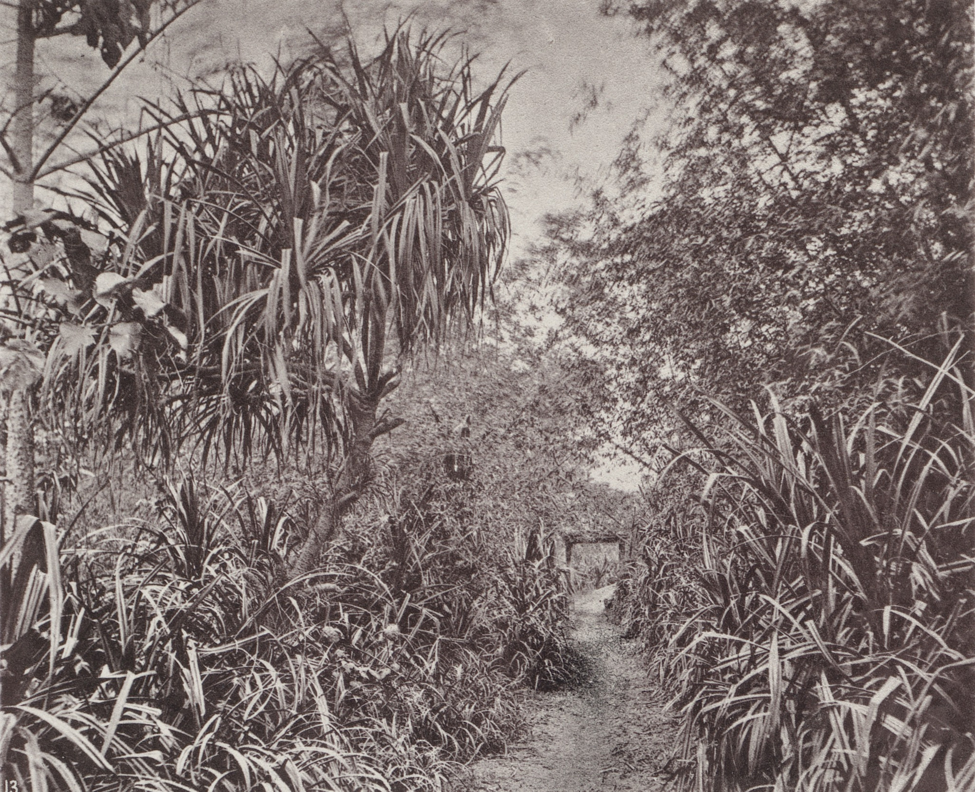 John Thomson. A Country Road Near Taiwanfu