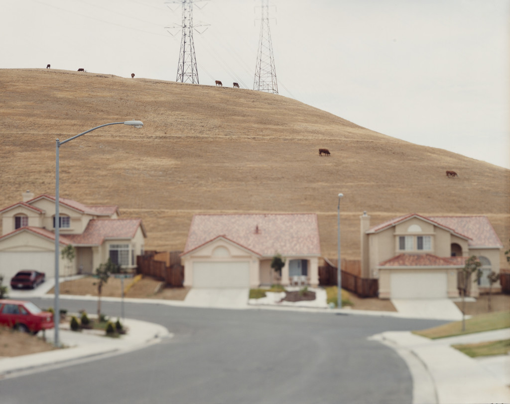 Untitled #17, from the series Scanscape