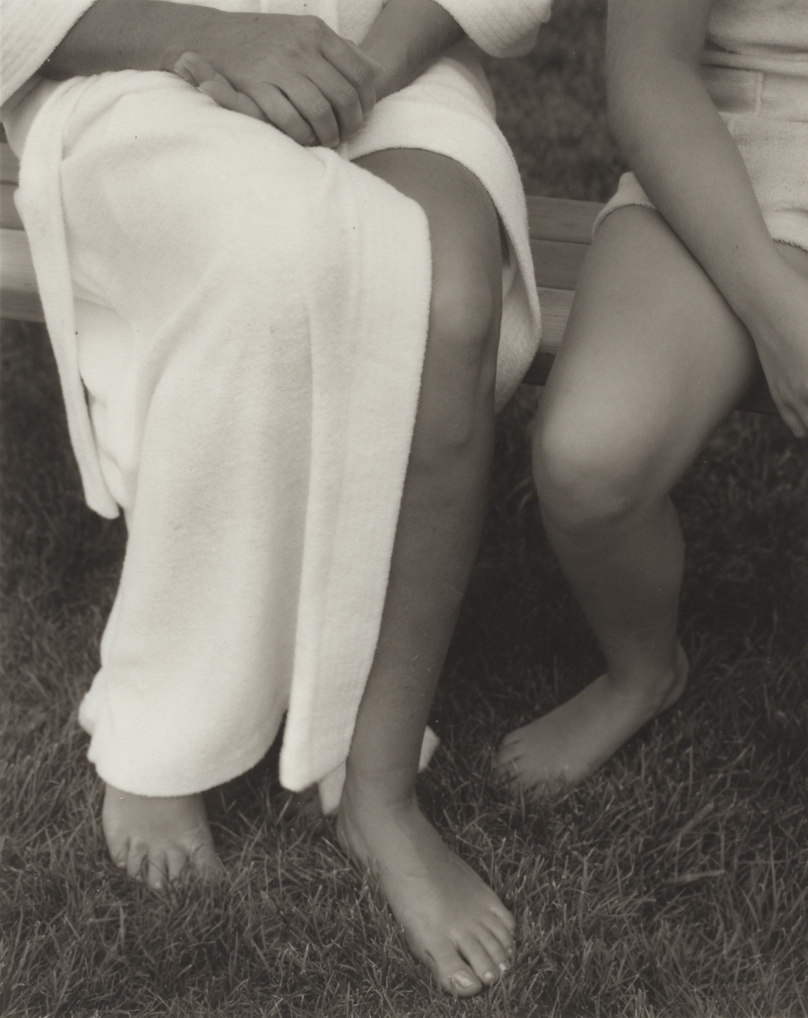 Jan Groover. Untitled. 1980