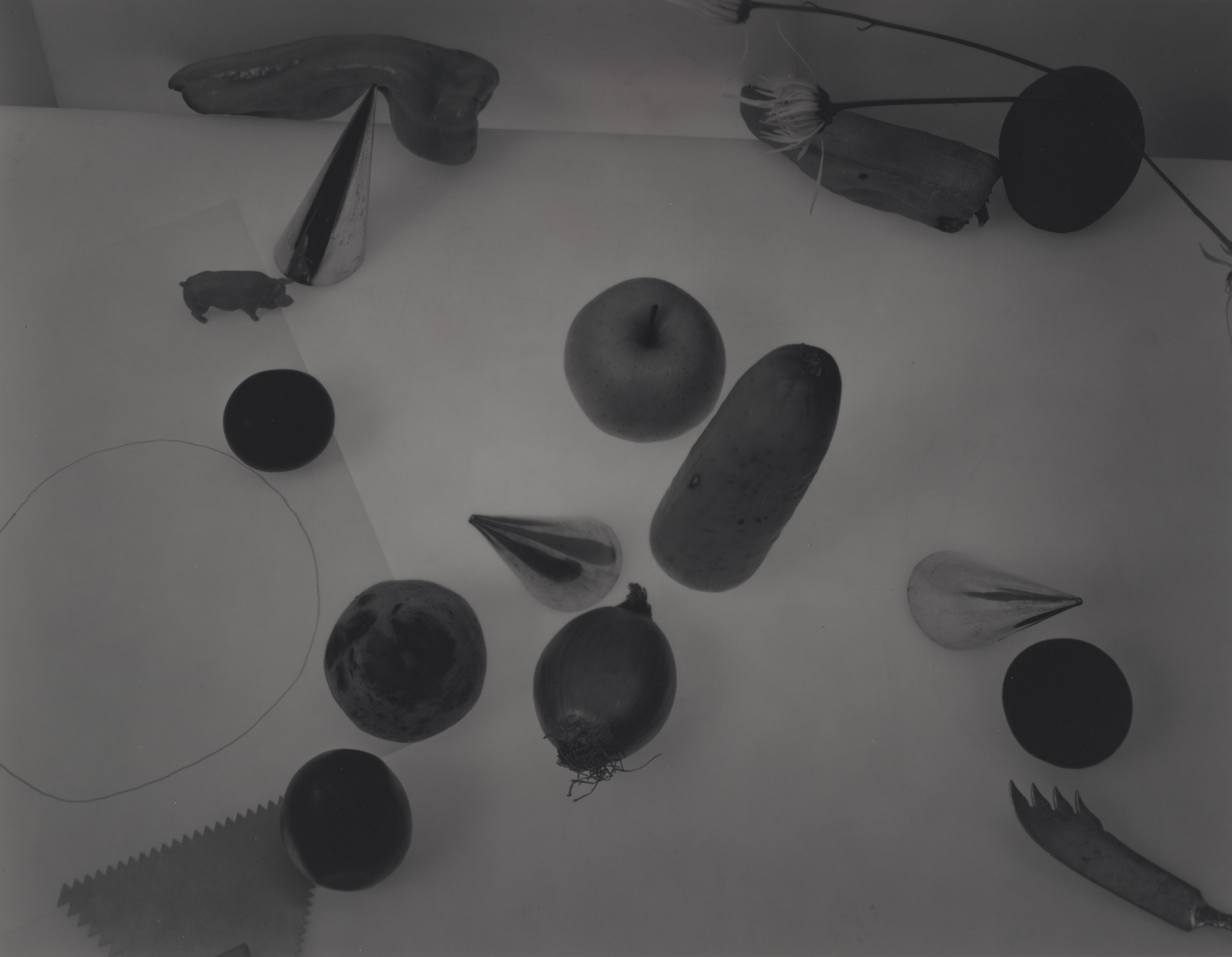 Jan Groover. Untitled. 1983