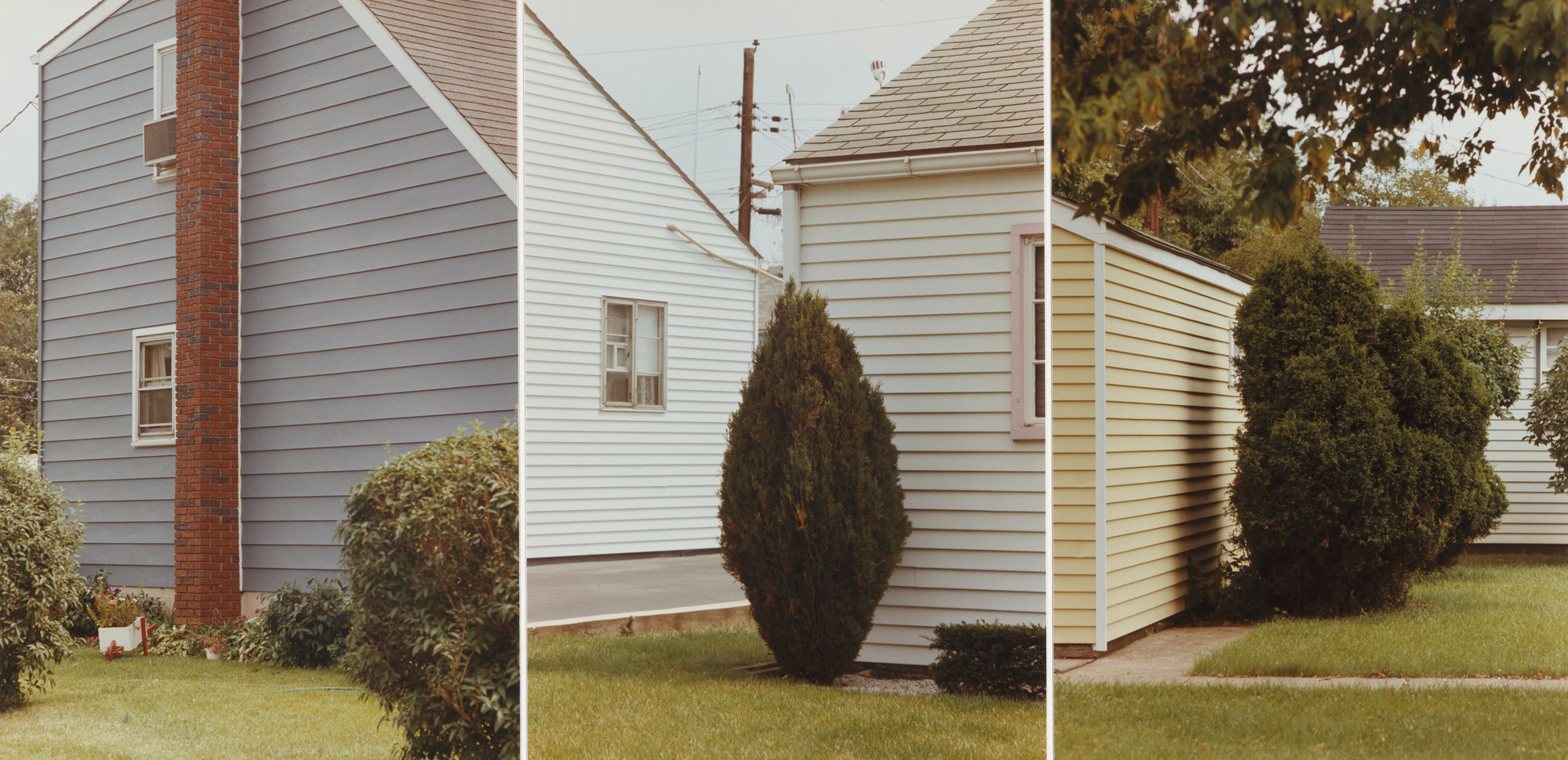 Jan Groover. Untitled. 1977