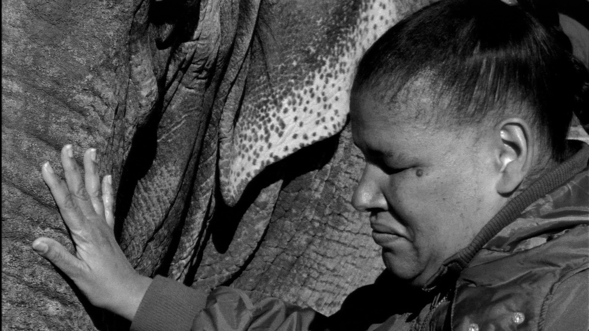 Javier Téllez. Letter on the Blind, For the Use of Those Who See. 2008