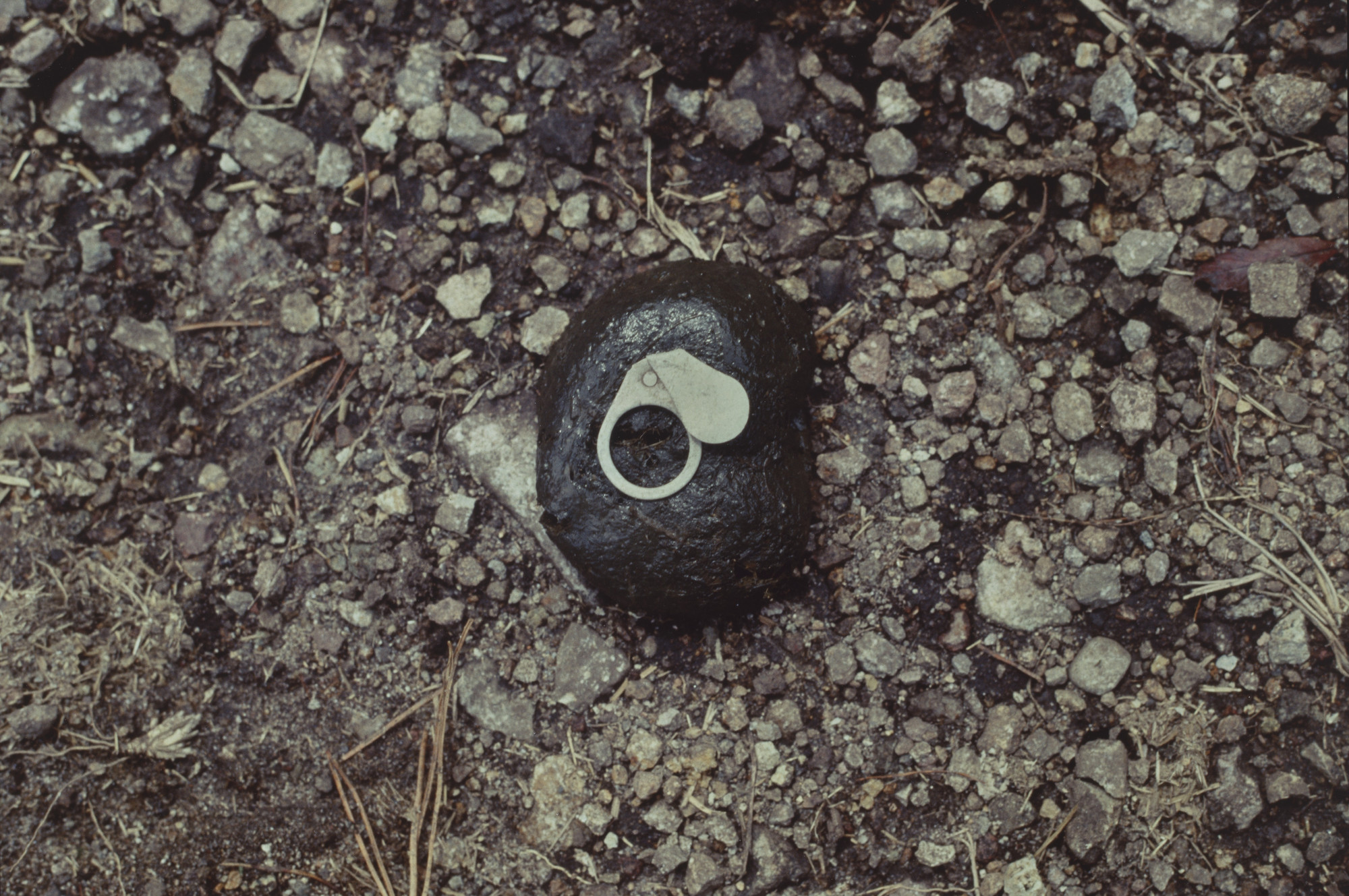 Gabriel Orozco. Horseshit. 1992