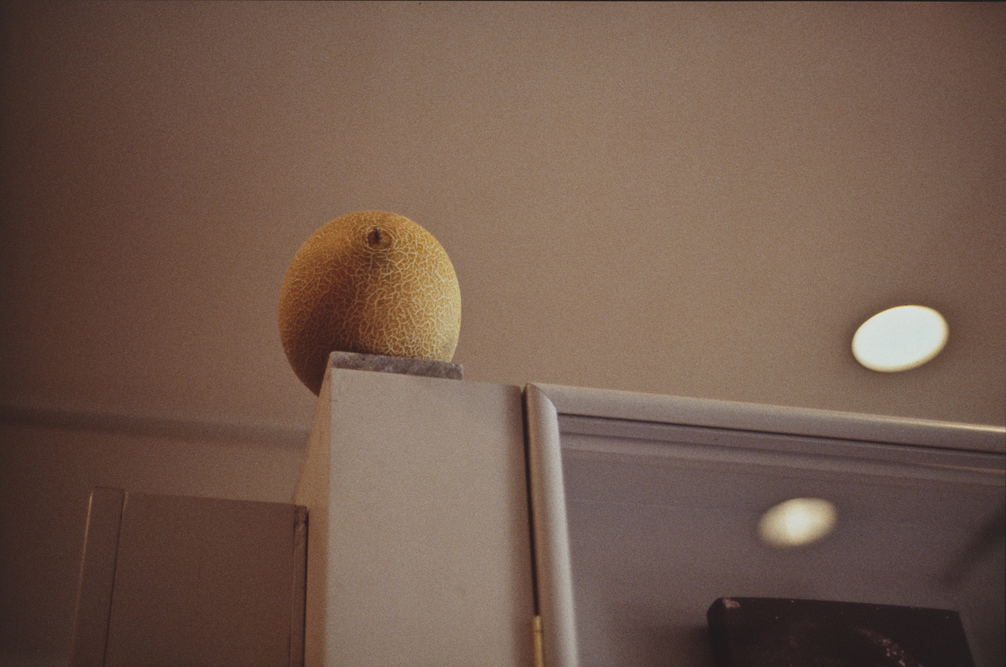 Gabriel Orozco. Melon. 1993