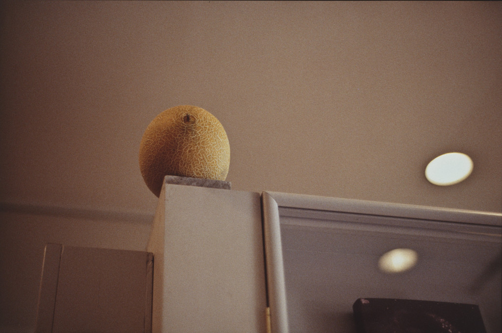 Melon