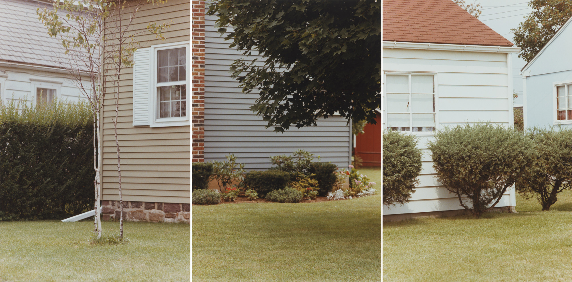 Jan Groover. Untitled. 1977