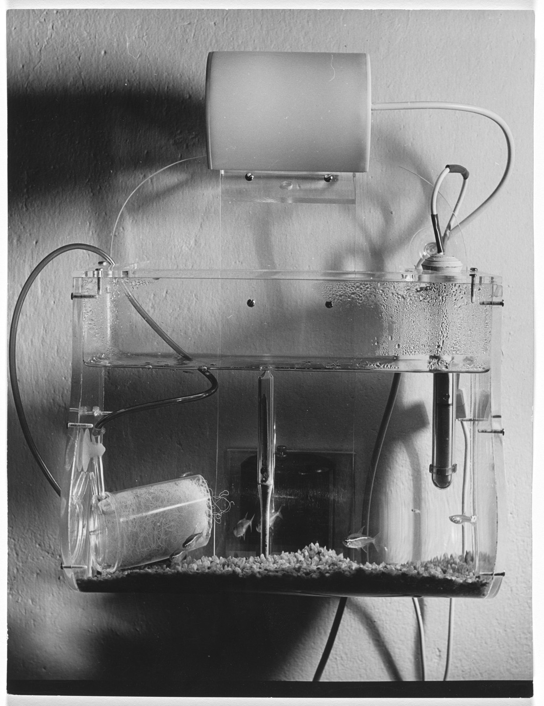 Luis Fernando Benedit. Project for Tropical Fish. 1970