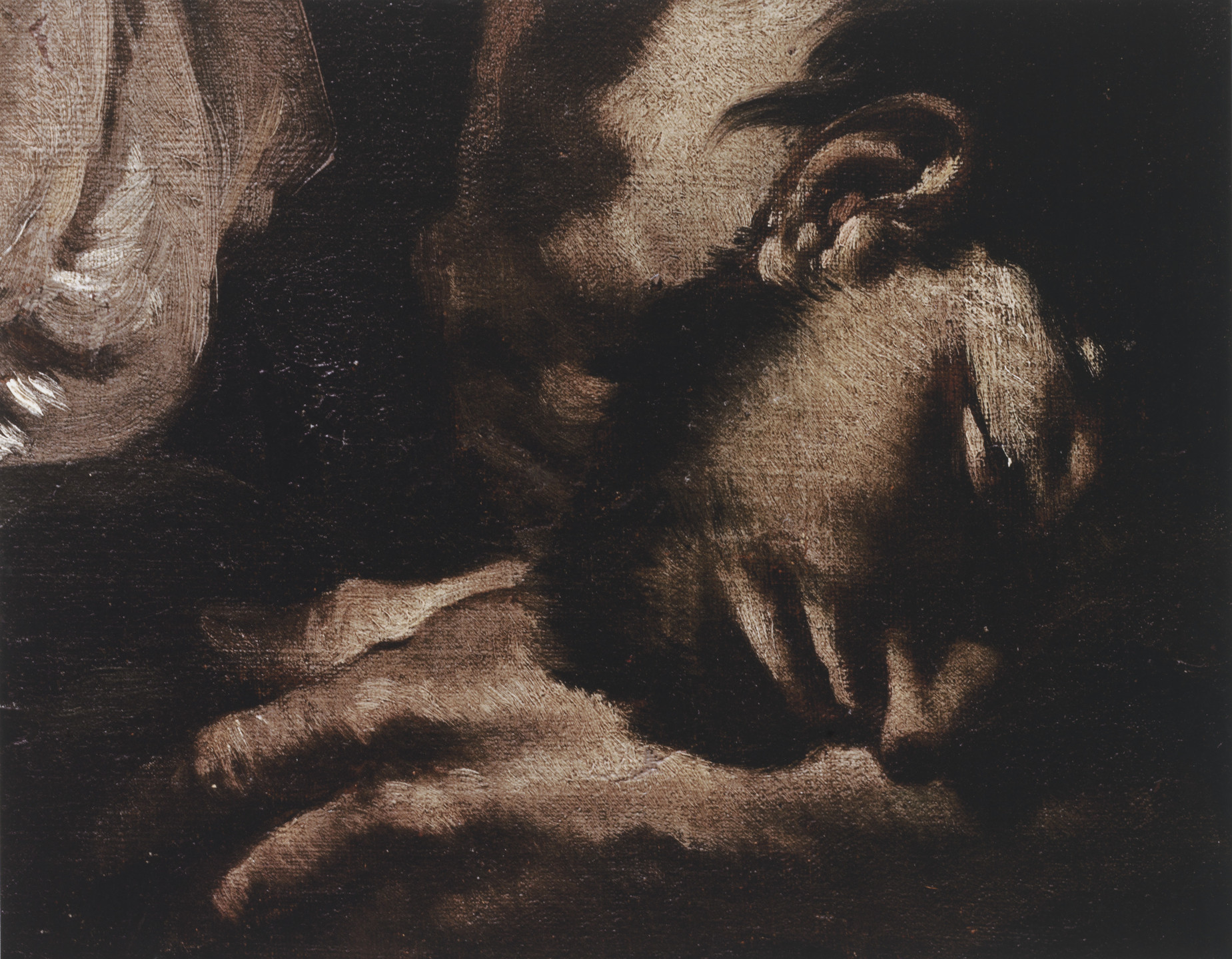 Svetlana Alpers, James Hyde, Barney Kulok. Dead Man. 2007