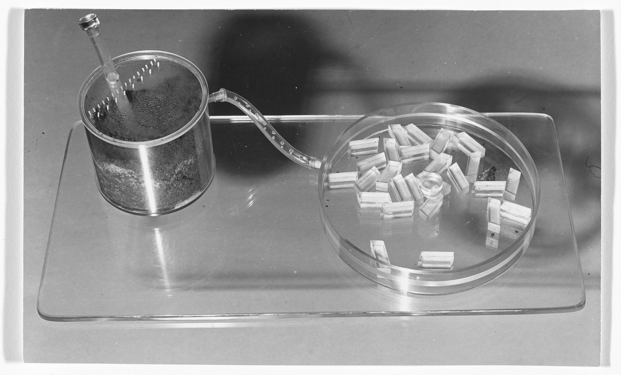 Luis Fernando Benedit. Labyrinth for Ants. 1970