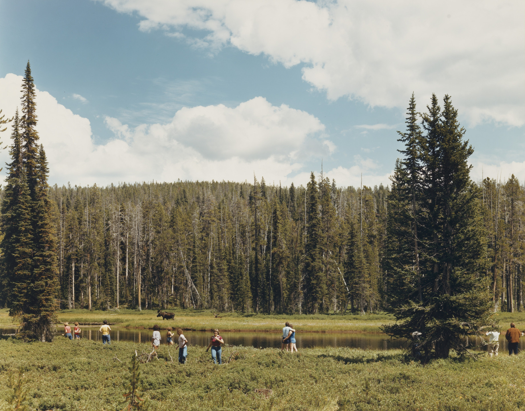 Joel Sternfeld. Yellowstone National Park. August 1979