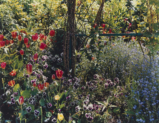 Stephen Shore. The Gardens at Giverny. 1977–1982 | MoMA