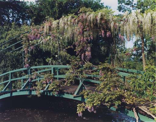 Stephen Shore. The Gardens at Giverny. 1977–1982 | MoMA