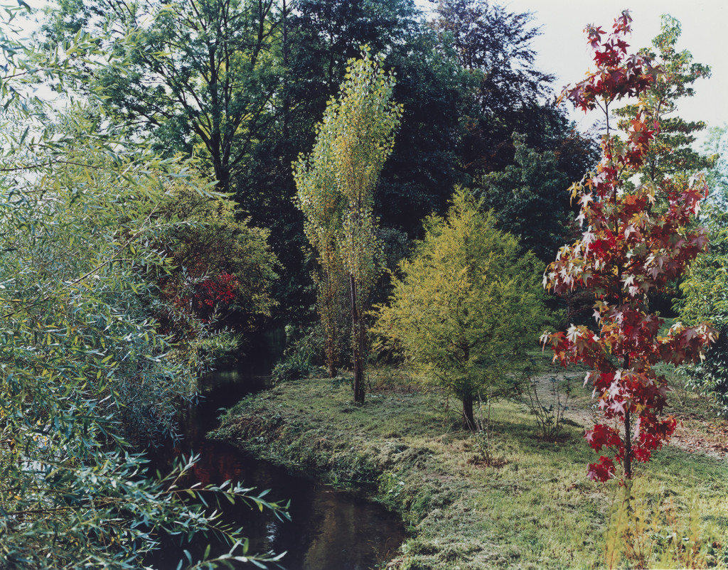 Giverny, France, 1977
