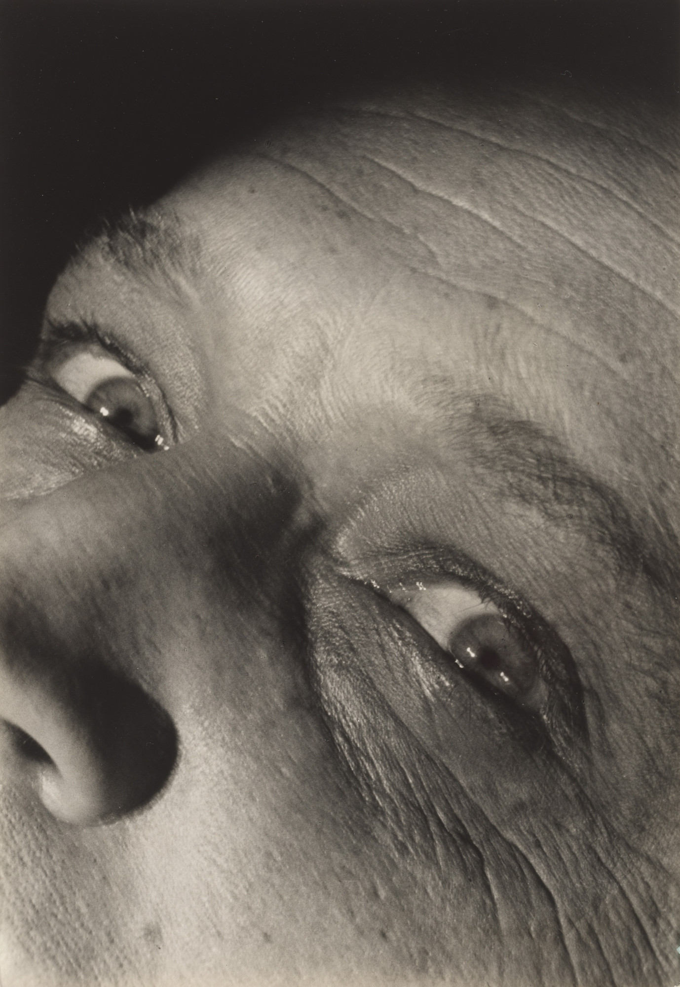 Paul Wolff. Untitled
