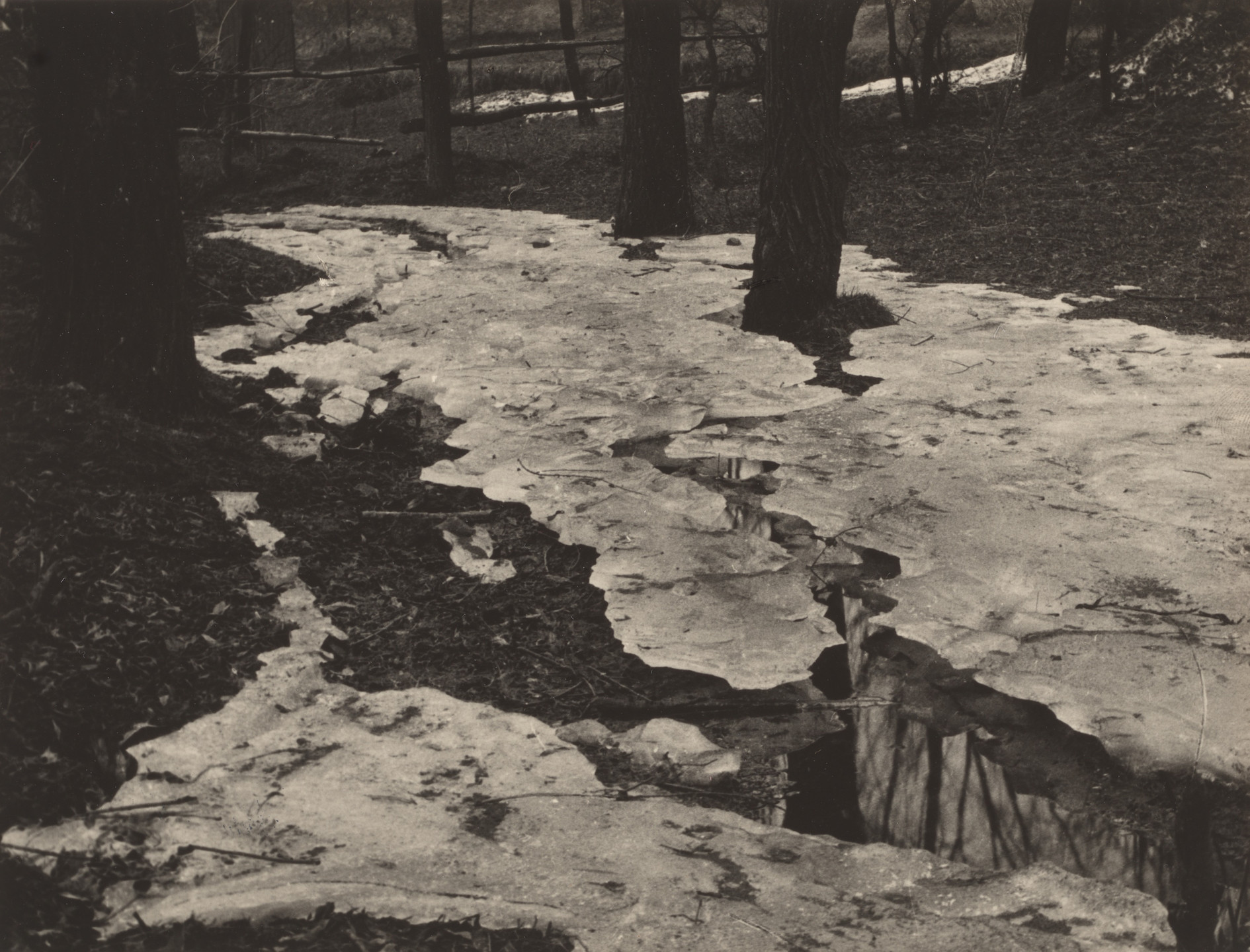 Hugo Erfurth. Snowscape near Zinnwald. 1896