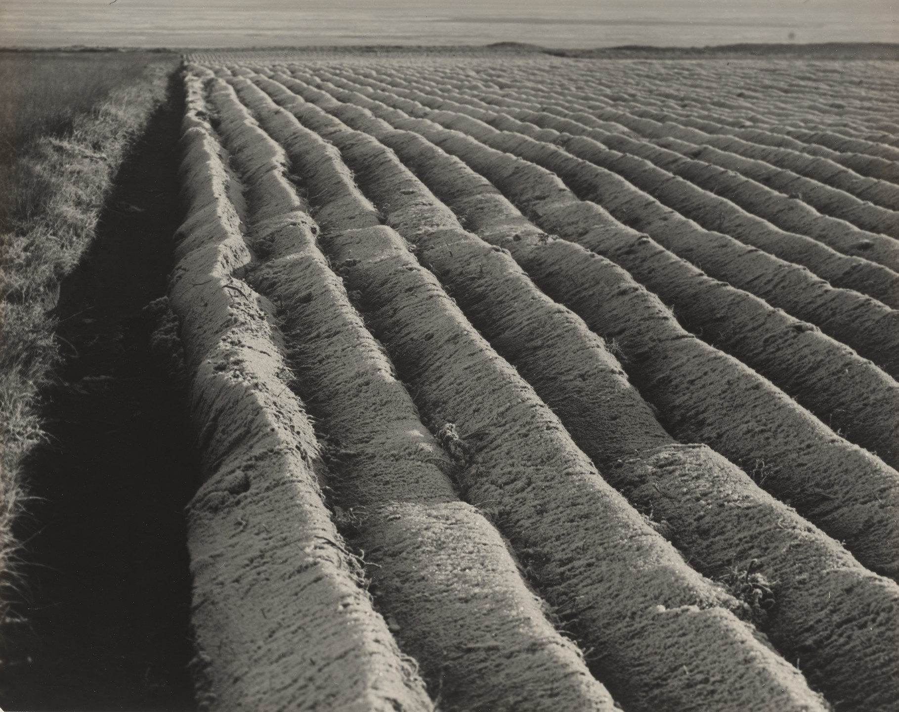 Dr. Arvid Gutschow. Plowed Field in Frost. c. 1930