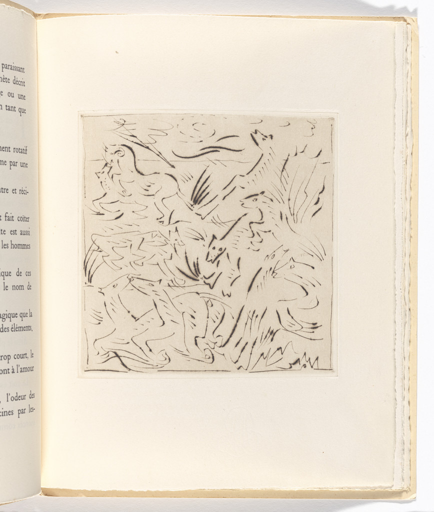 Plate (folio 5) from L'Anus solaire