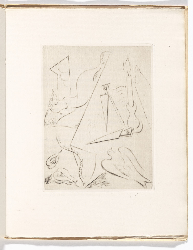 Plate (folio 8) from Soleils bas