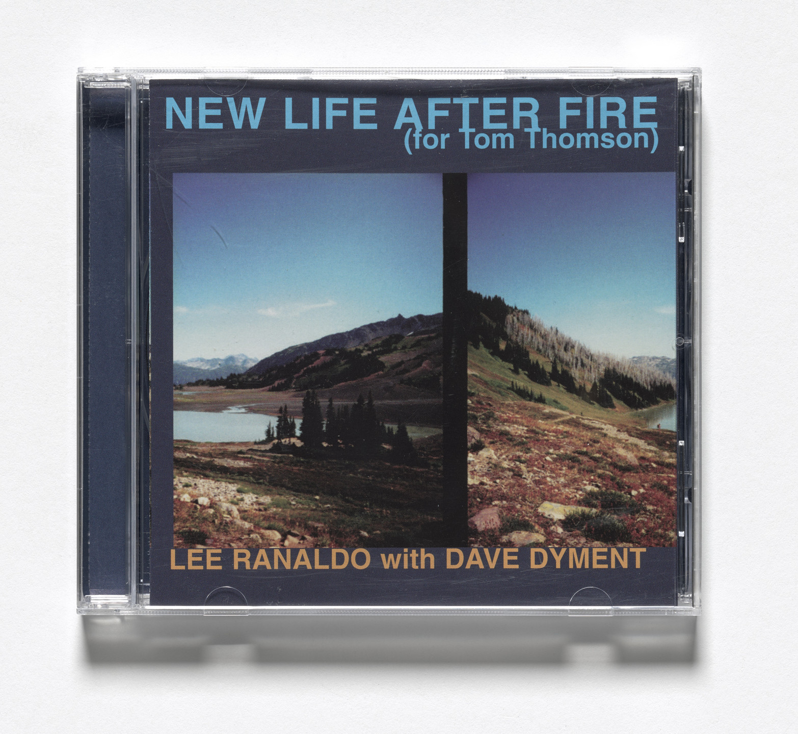 Lee Ranaldo, Dave Dyment. New Life After Fire (for Tom Thomson). 2003