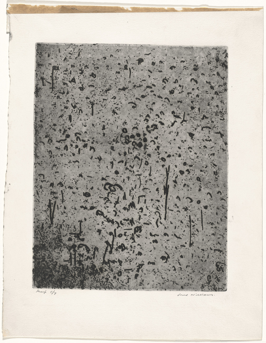 Fred Williams. Forest of Gum Trees, State II/IV. 1965–66