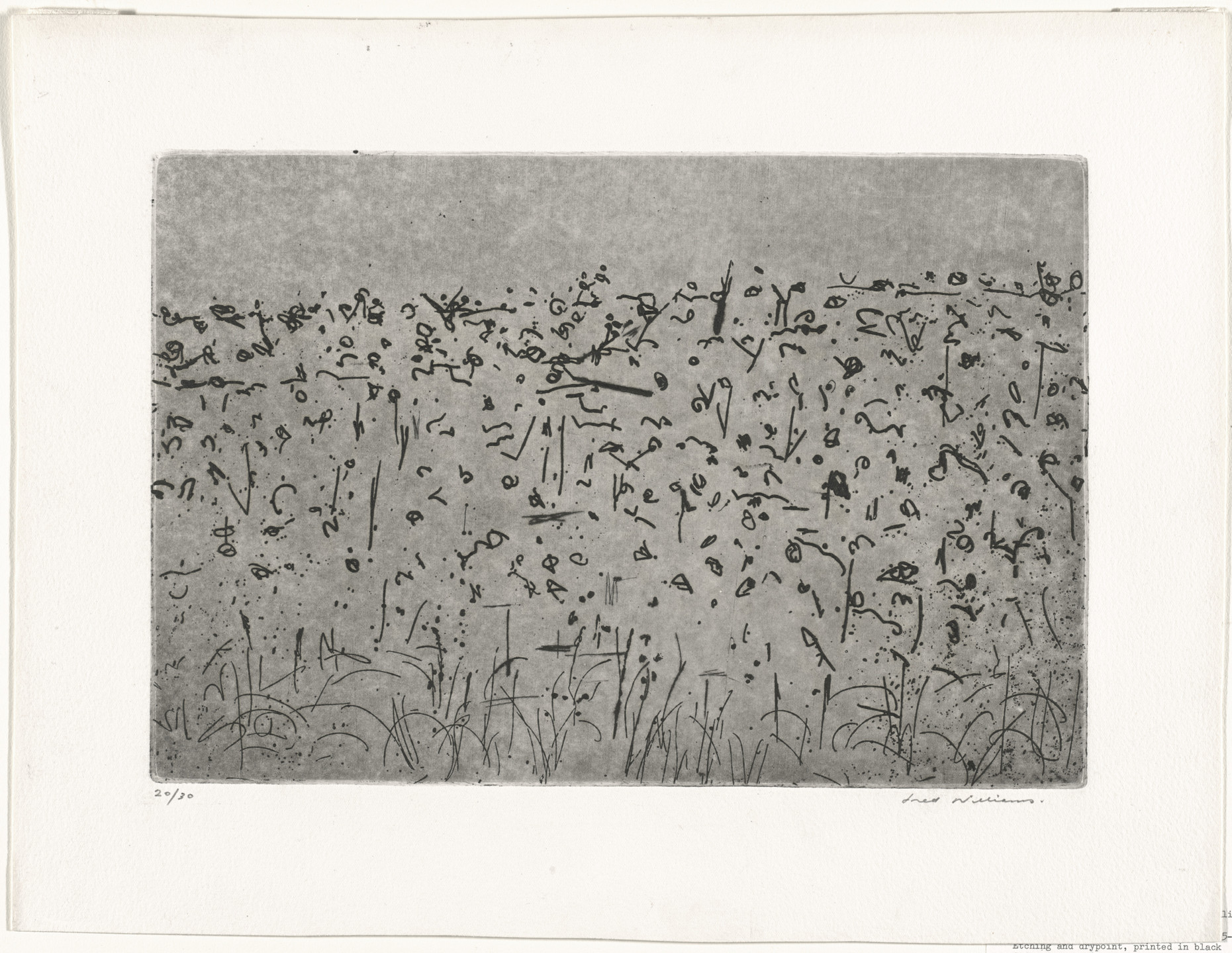 Fred Williams. Hillside Landscape, Lysterfield, State II/III. 1965–66