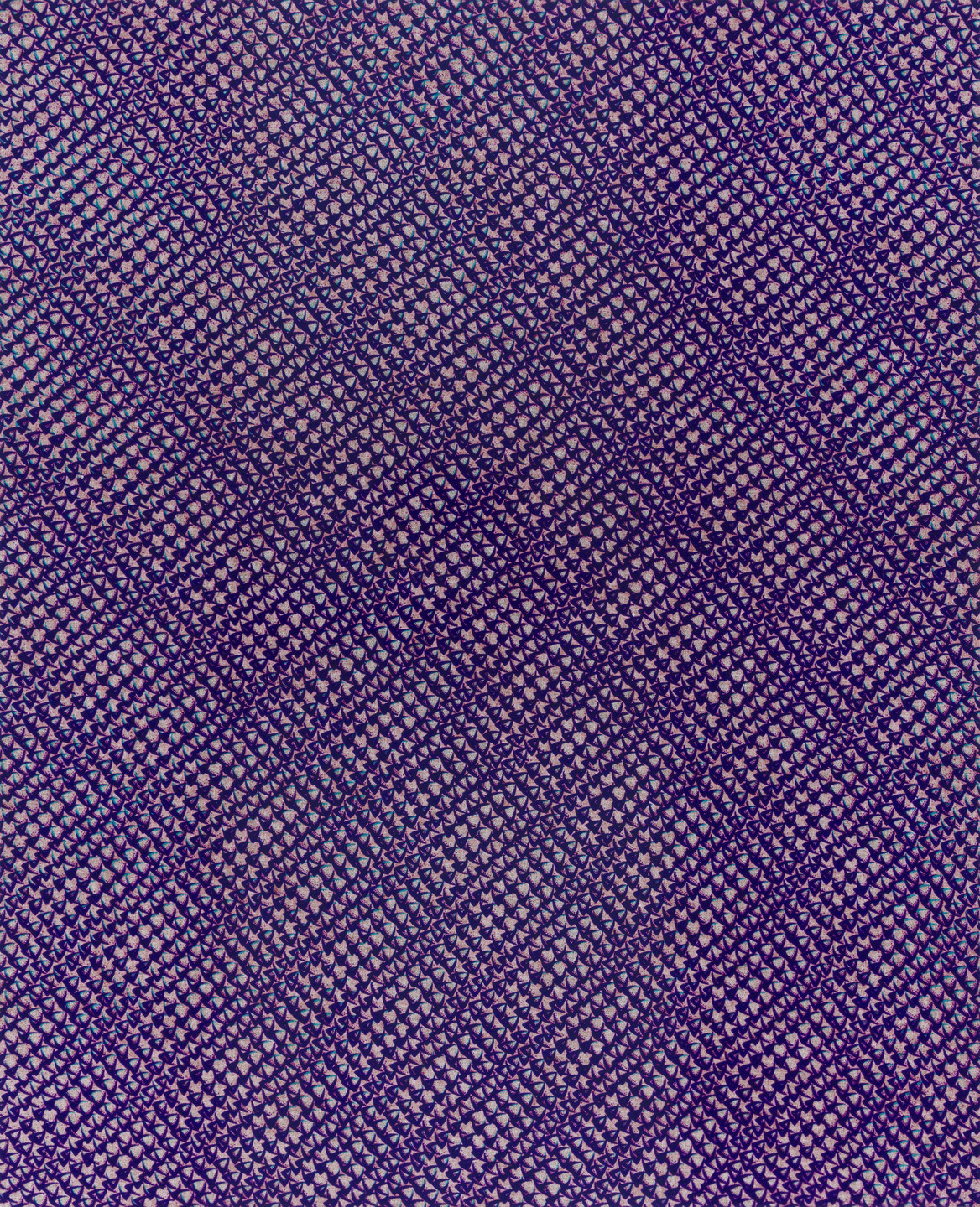 Lisa Oppenheim. Fish Scale, Véritable (Version 3). 2012