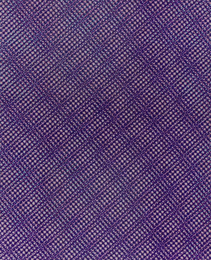 Fish Scale, Véritable (Version 3)