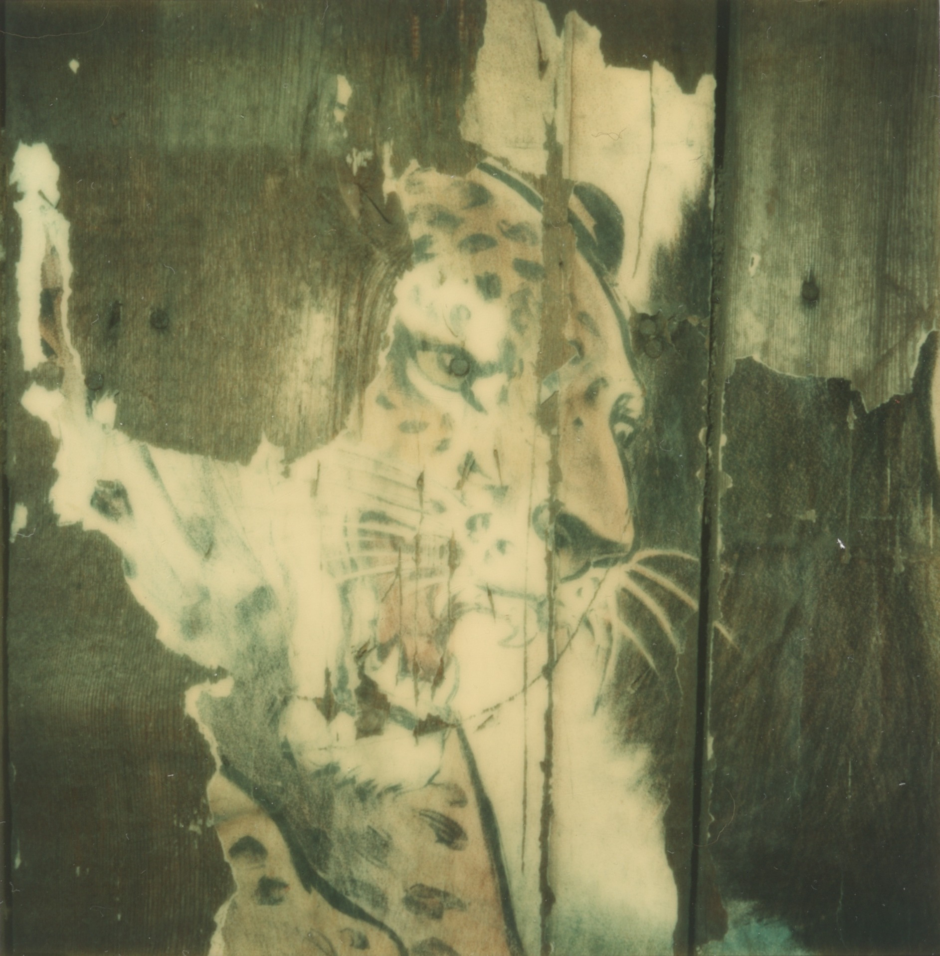 Walker Evans. Untitled