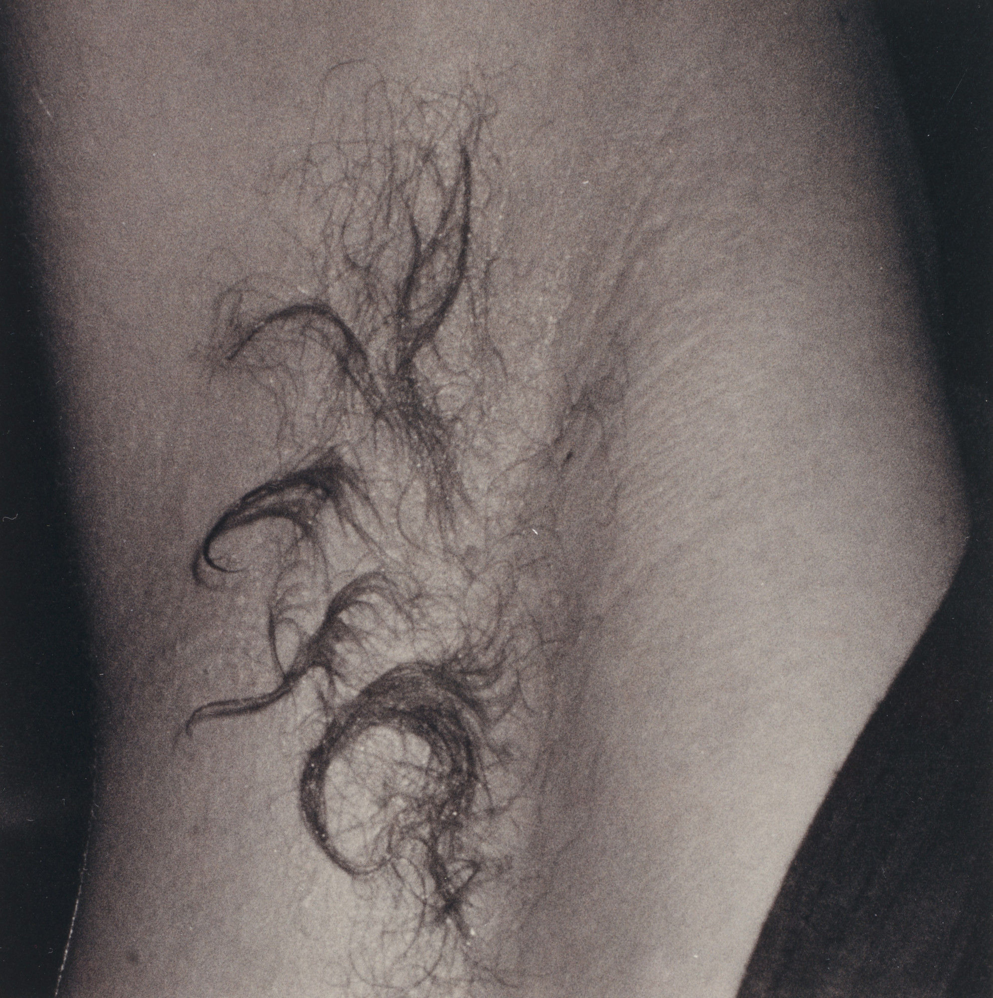 Wolfgang Tillmans. Chemistry square, armpit