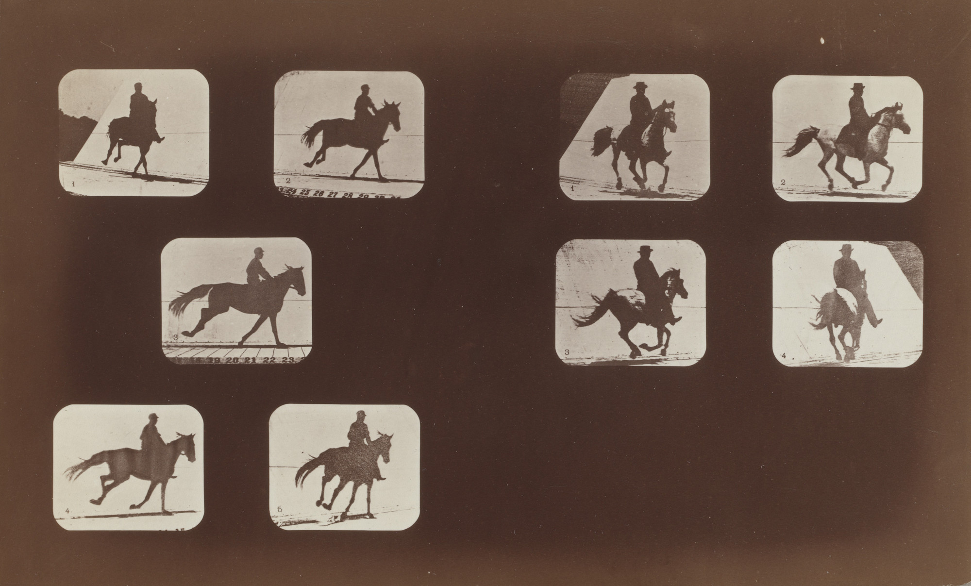 Eadweard J. Muybridge. Studies of Foreshortenings, Horses: Running. 1878-79