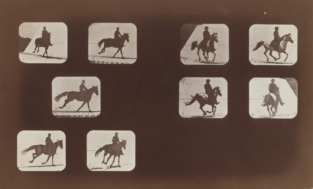 Studies of Foreshortenings, Horses: Running