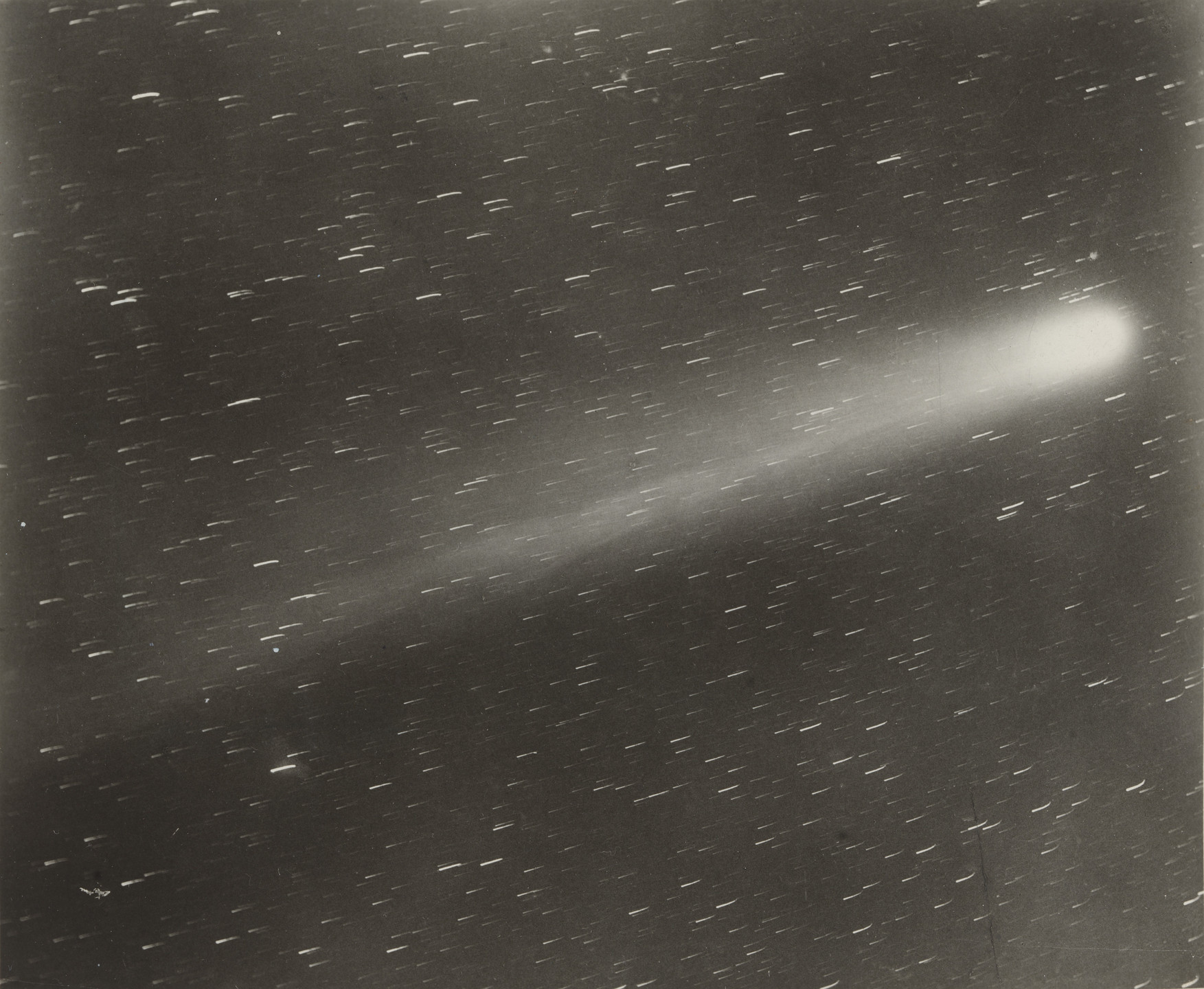 Yerkes Observatory. Halley&#39;s Comet. 1910