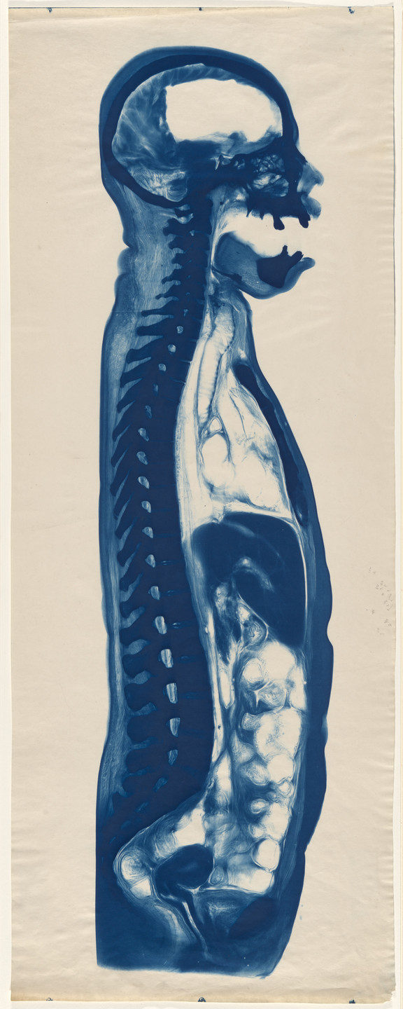 Unidentified photographer. Untitled. c. 1910