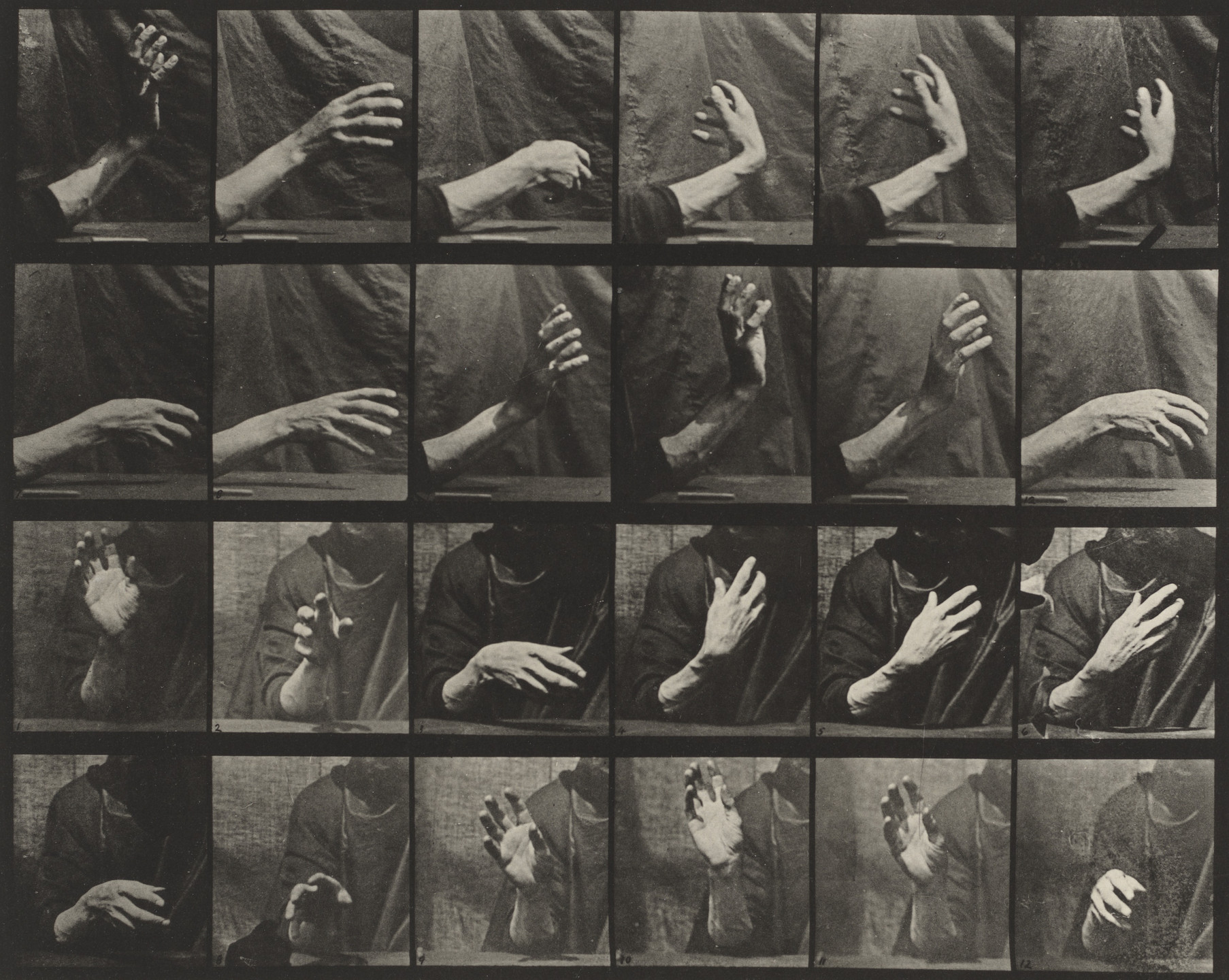 Eadweard J. Muybridge. Movement of the Hand, Beating Time: Plate 535 from Animal Locomotion. 1884-86
