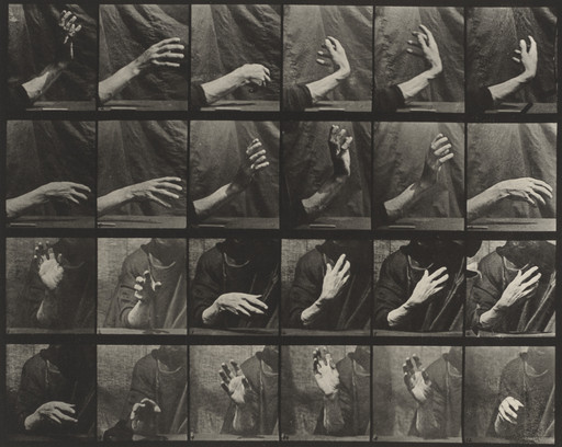 Eadweard J. Muybridge. Movement of the Hand, Beating Time: Plate 535 from Animal Locomotion. 1884-86