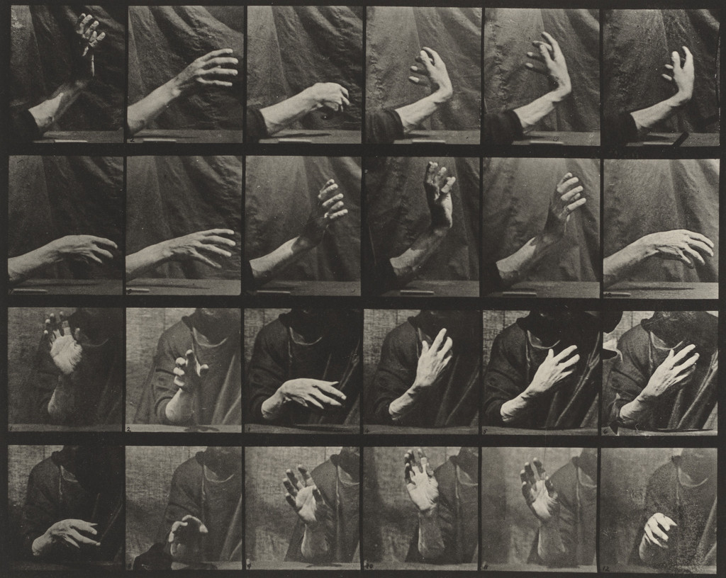 Movement of the Hand, Beating Time: Plate 535 from Animal Locomotion
