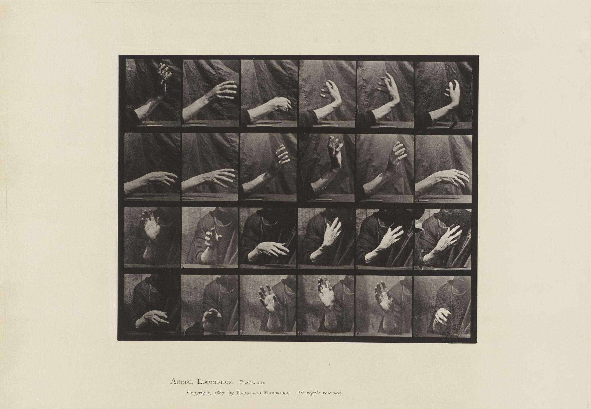 Eadweard J. Muybridge. Movement of the Hand, Beating Time: Plate 535 from Animal Locomotion. 1884-86