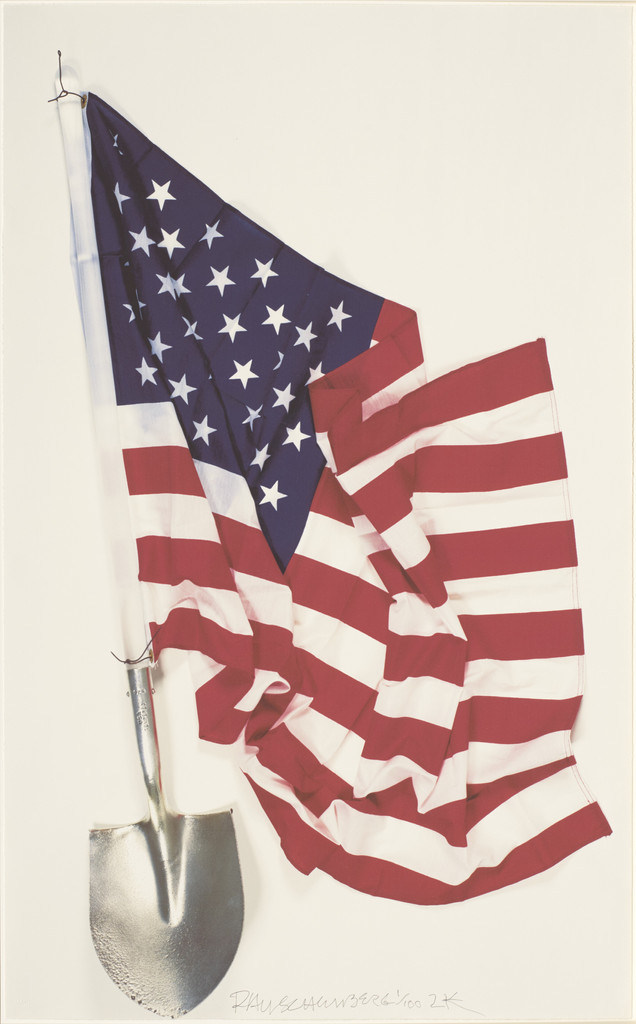 Democratic Presidential Campaign Print