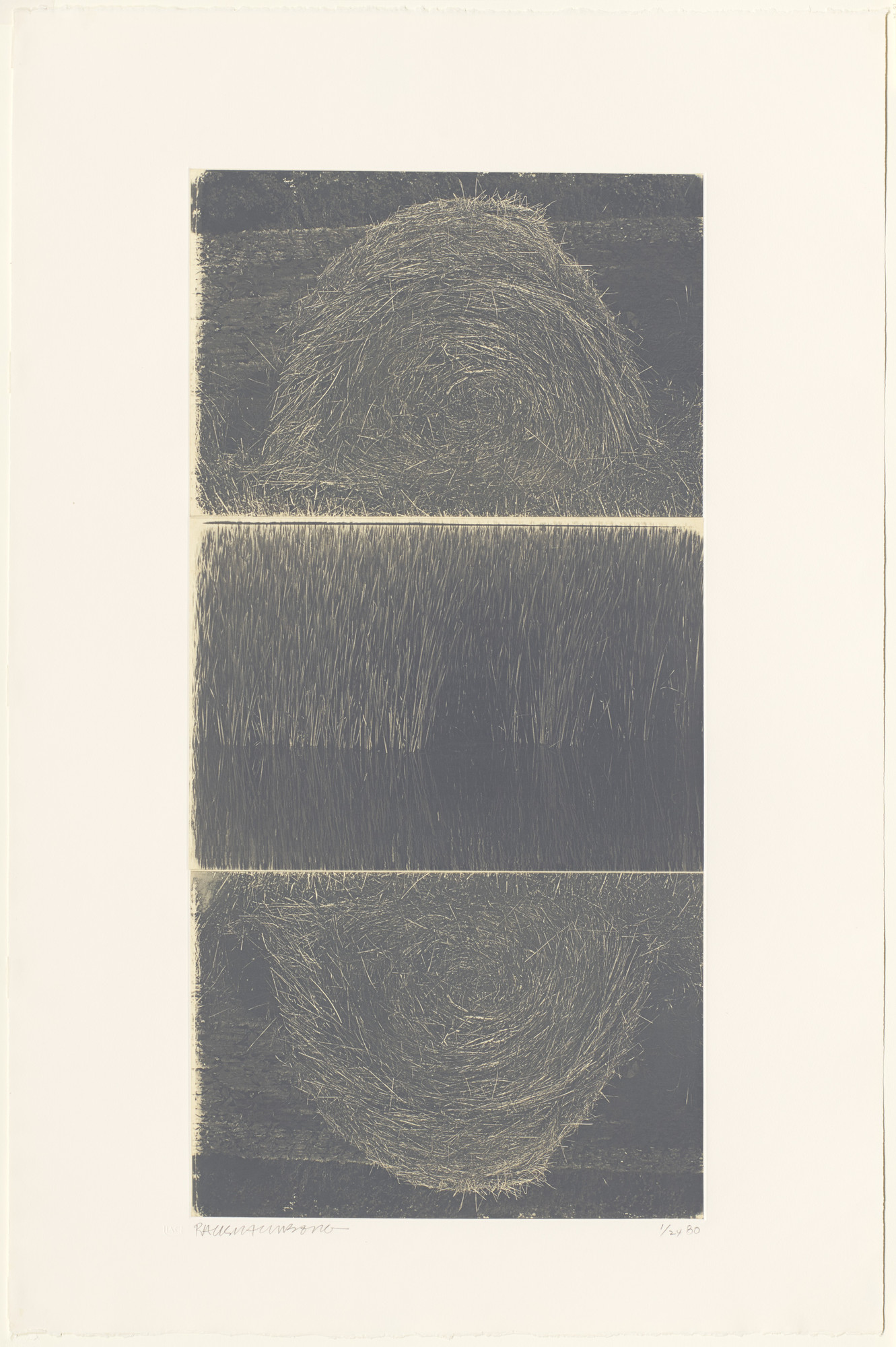 Robert Rauschenberg. The Razorback Bunch (Etching II). 1980 | MoMA