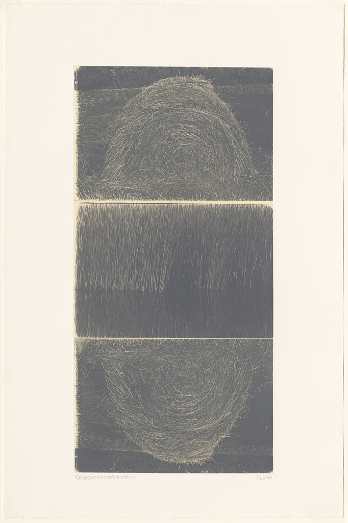 The Razorback Bunch (Etching II)