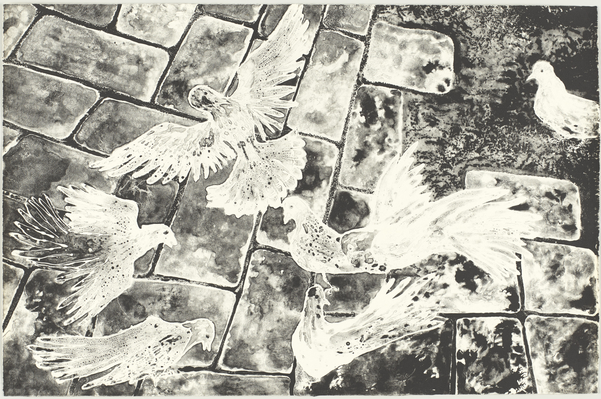 Ruth Asawa. Pigeons on Cobblestones (TAM.1478)