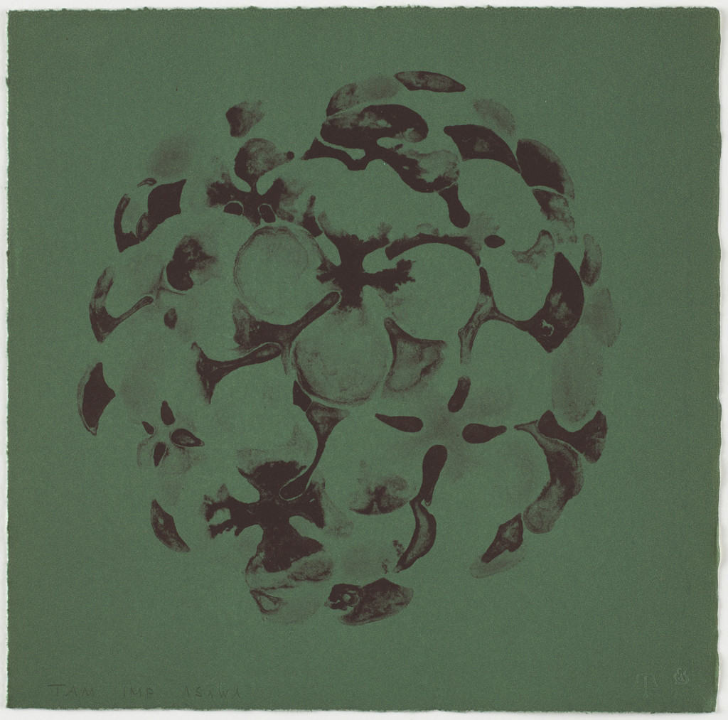 Untitled (TAM.1561, Hydrangea Blue from the portfolio Flowers)