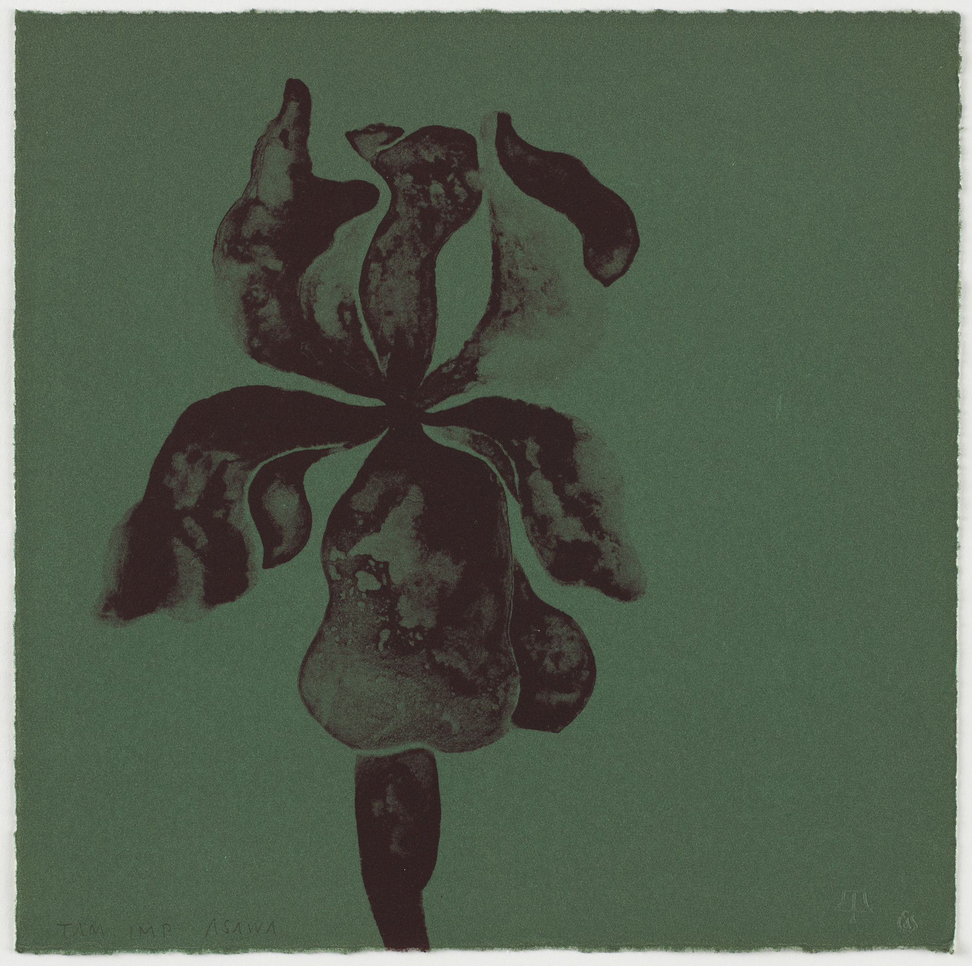 Ruth Asawa. Untitled (TAM.1562, Iris Blue from the portfolio Flowers)