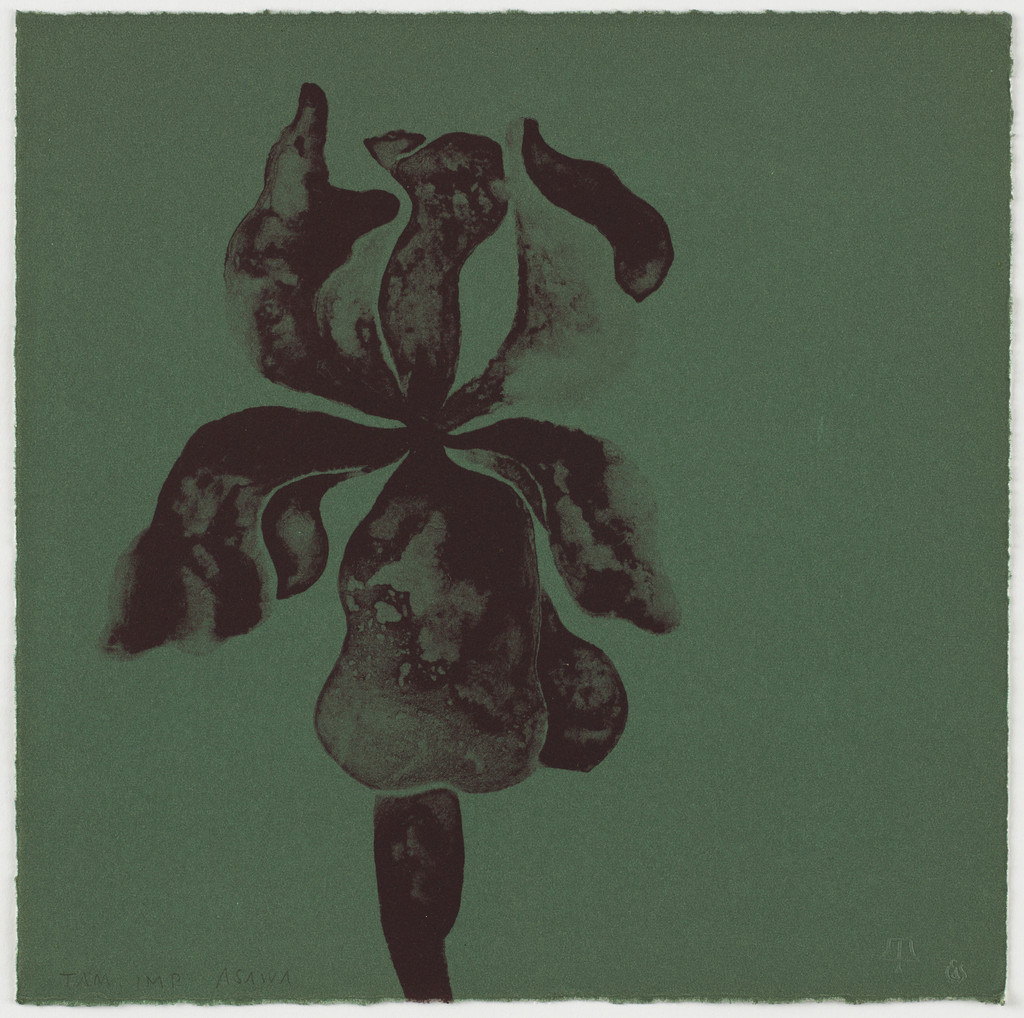 Untitled (TAM.1562, Iris Blue from the portfolio Flowers), Ruth Asawa, 1965