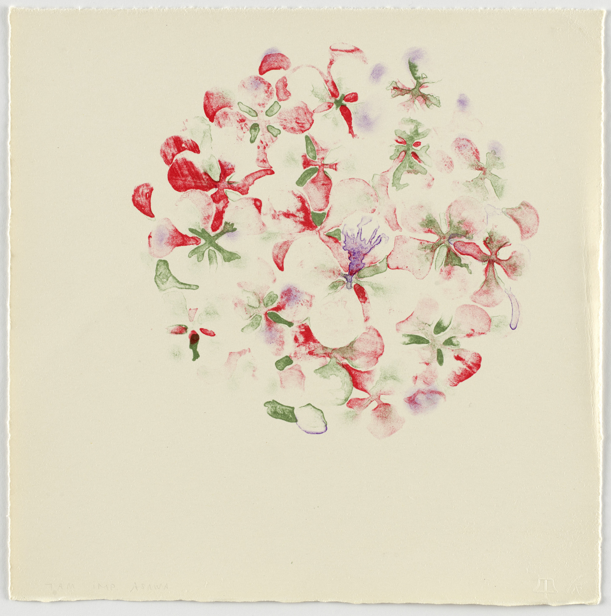 Ruth Asawa. Untitled (TAM.1493, Hydrangea from the portfolio Flowers)