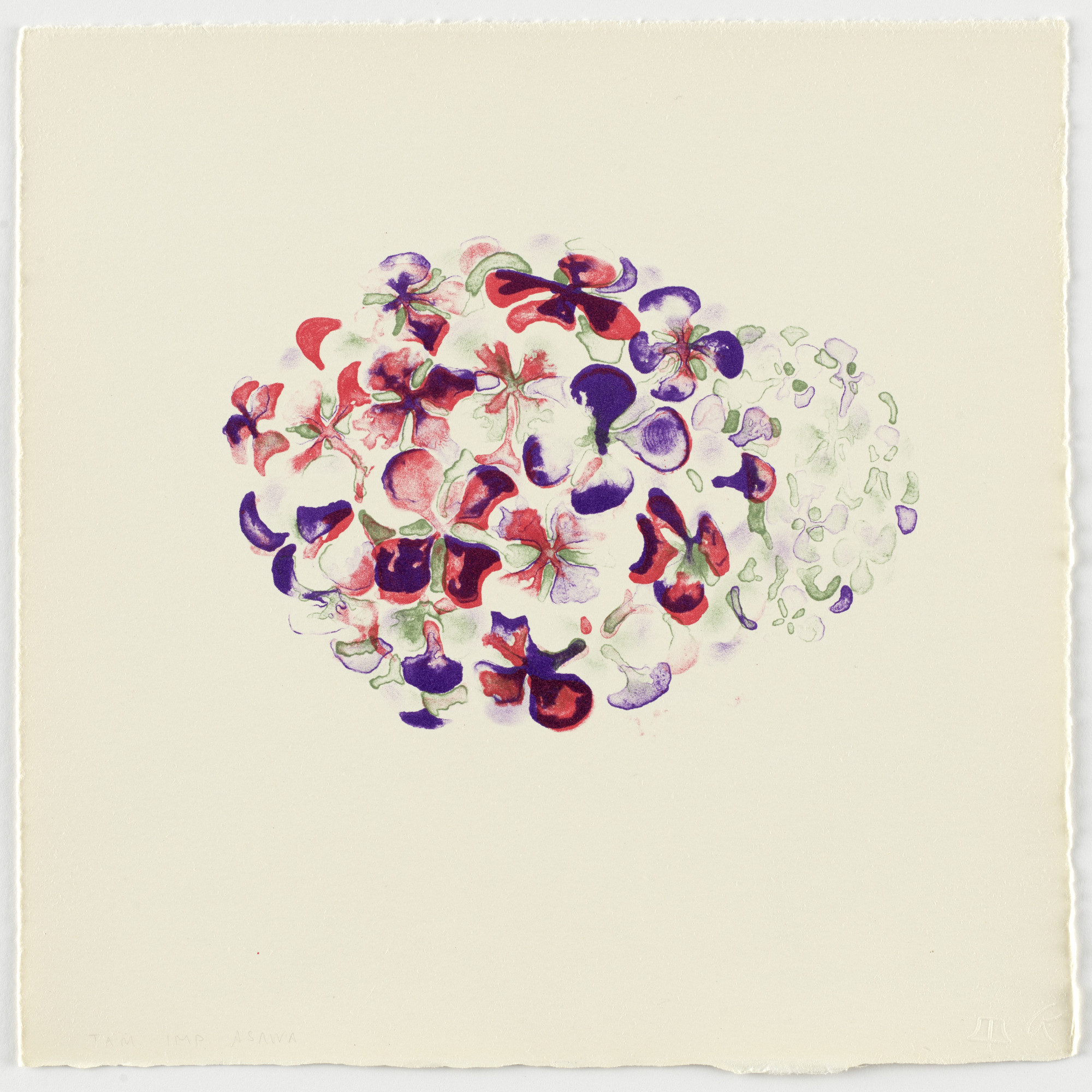 Ruth Asawa. Untitled (TAM.1535, Hydrangea from the portfolio Flowers)
