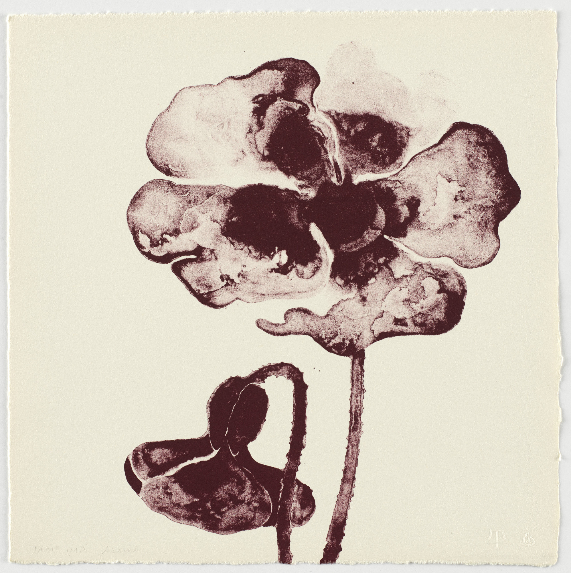 Ruth Asawa. Untitled (TAM.1559, Poppy Maroon from the portfolio Flowers)