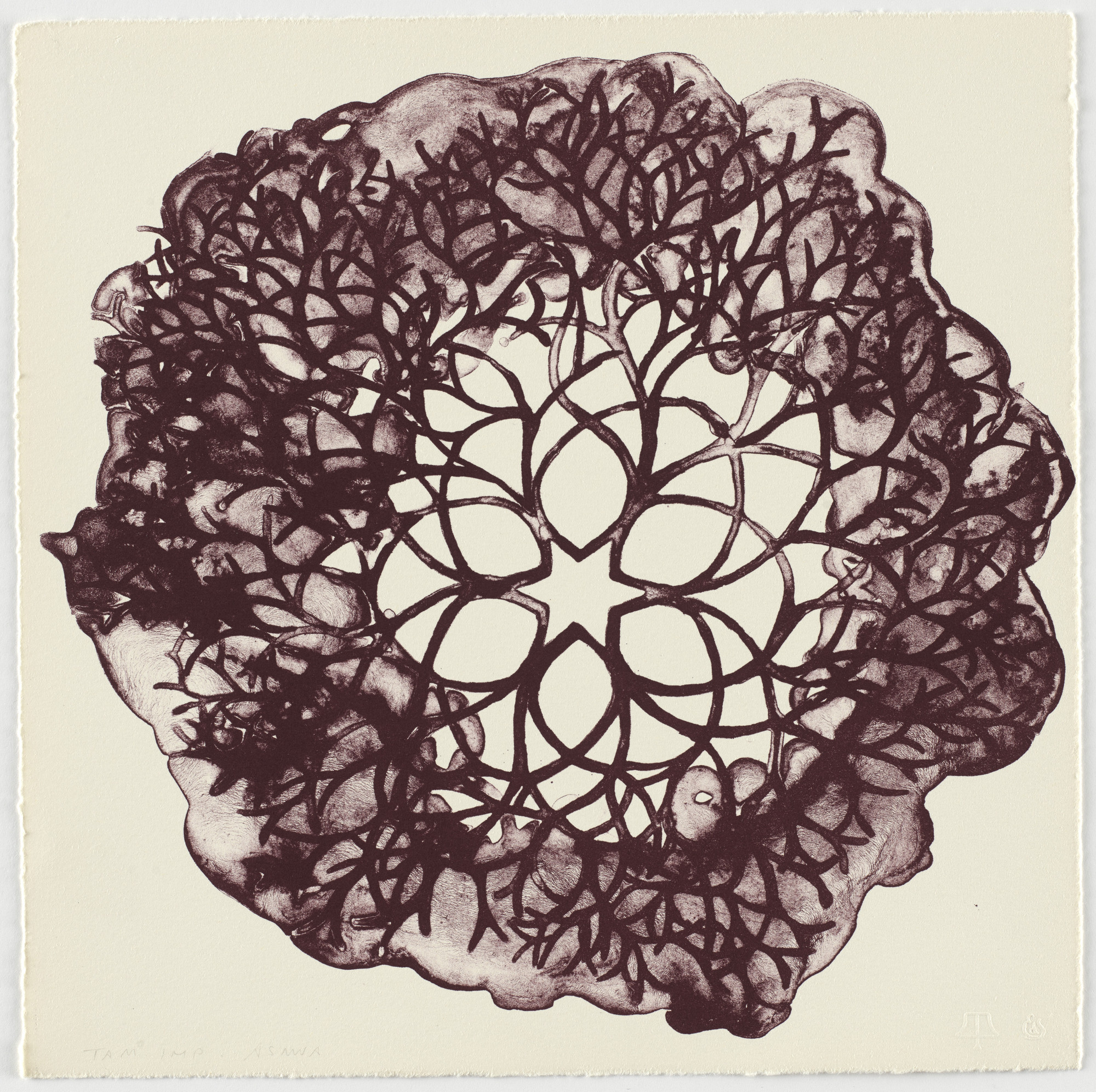 Ruth Asawa. Untitled (TAM.1560, Desert Plant from the portfolio Flowers)